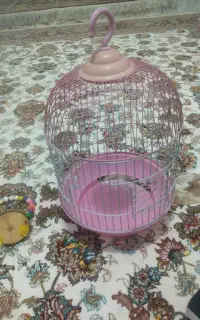 فروش قفس