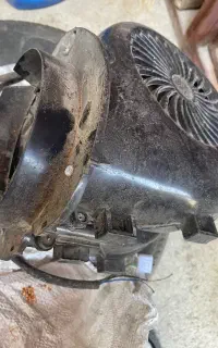 فن حلزونی ساینت اصلی