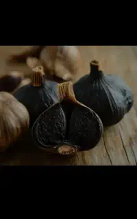 سیر