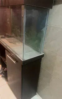 آکواریوم