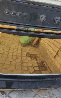 فرگاز
