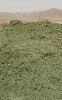 یونجه خرد شده