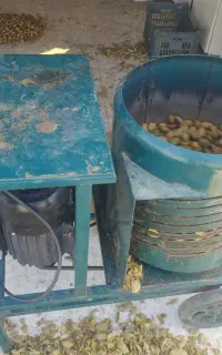 پوست کن بادام درختی