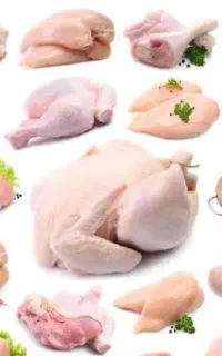 بازار یاب