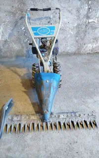 دروگریونجه چین