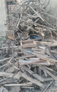 مقداری چوب رایگان برای باغ