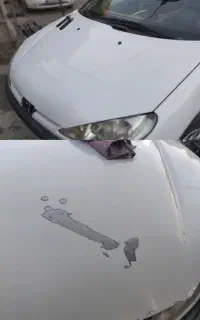نقاش