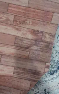 موکت