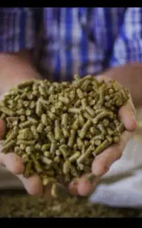 کنسانتره پلیت شده