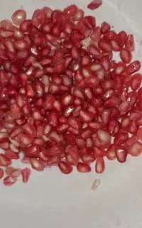 انار ترش و ملس بزرگ
