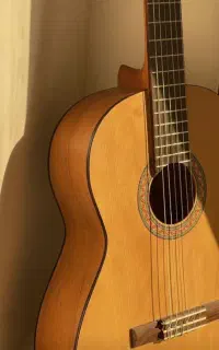 آموزش گیتار زیر نظر مربی خانم