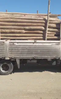 چوب تیر چوب درخت چوب ساختمانی