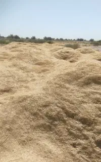 ‌انبار‌کاه