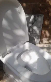 توالت فرنگی