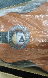 گیتار نو