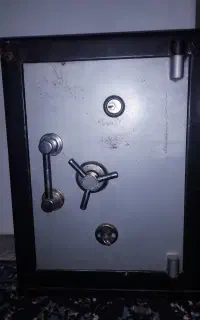 گاو صندوق