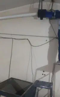 انتقال دان مرغداری اسکرول بالابر دان