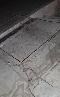 قفس کفتر