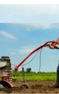 شخم زنی