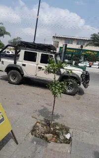 پیدا شده
