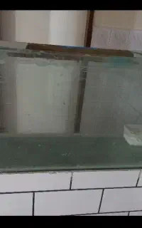 آکواریوم