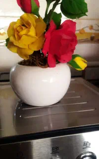 سه تا گل باهم۳۵۰هزارتومان