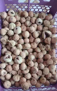 انجیر تازه استهبان 405