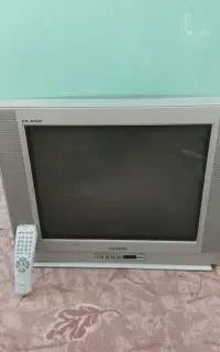 تلویزیون