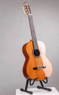آموزش تخصصی گیتار