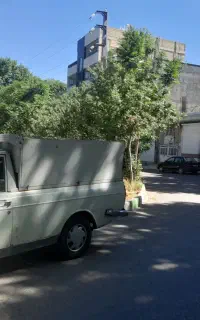 وانت پیکان