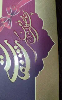 به دو نیرو خانم