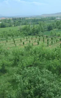 خانه مسافر مبله