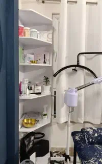 مدل فیشال