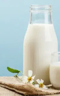 شیر تازه گاو پرچرب