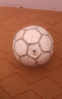 توپ سالن و خاکی