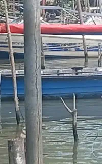 قایق قالب متوسط