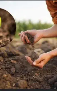 فروش خاک باغچه ای کشاورزی