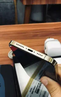 12 پرومکس