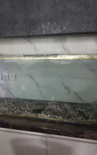 آکواریوم