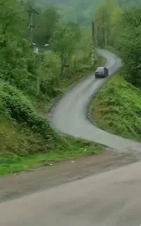 تور گردشی فقط خانوما ۱۶ مرداد