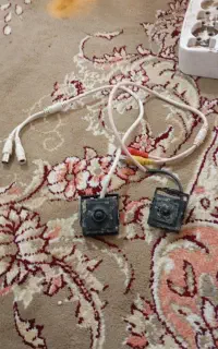 کسب وکار