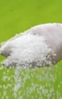۲۰ عدد اوره