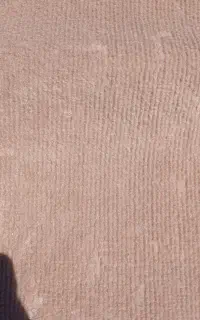 موکت