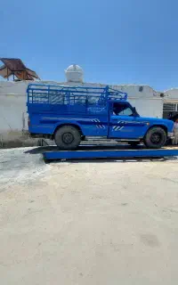 باسکول نیسانکش