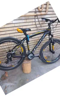 دوچرخه