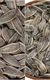 پخش شوینده و بهداشتی و مواد غذایی