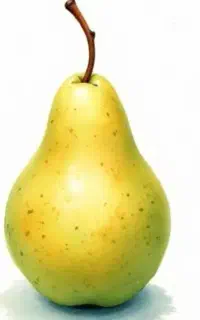 کارگر چیدن میوه هستیم دونفر آقا هستیم
