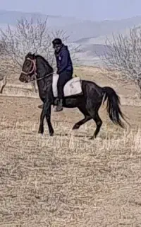 مادیون کرد ۷ ساله