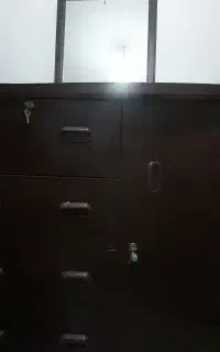 ی عدد دلاور