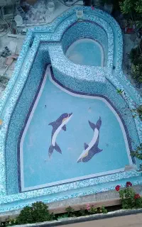 اجرای استخر